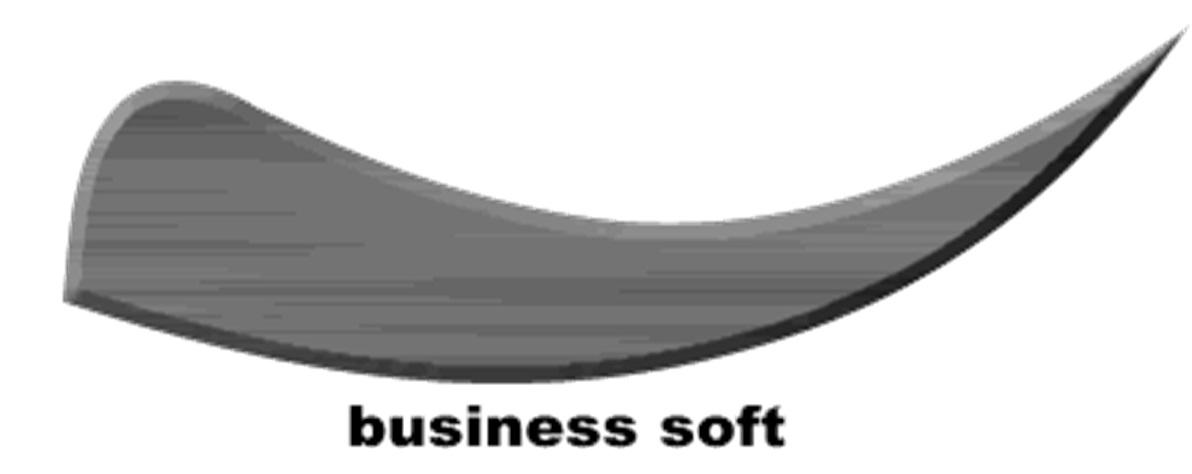 株式会社ビジネスソフト